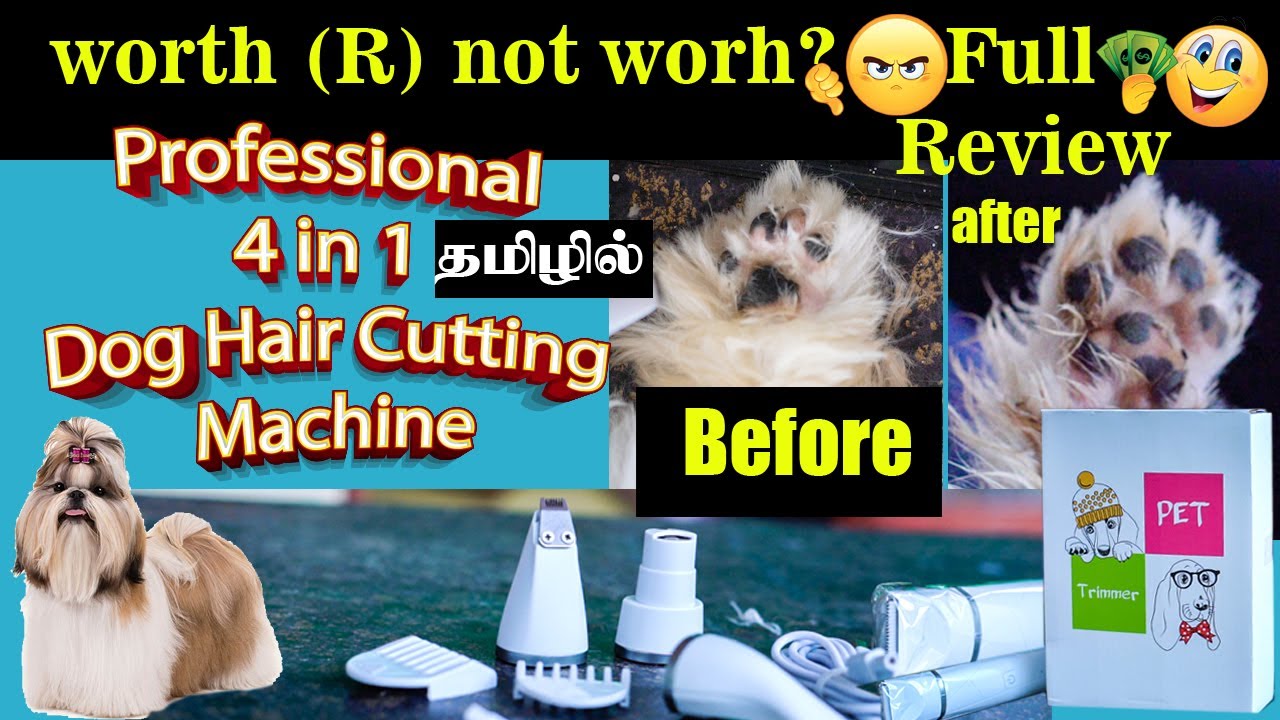 Qpets dog nail grinder |Shihtzu Grooming Made Easy| Review of the Top Dog Trimmers