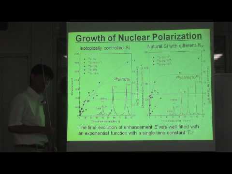 Dynamic Nuclear Polarization of Silicon 29