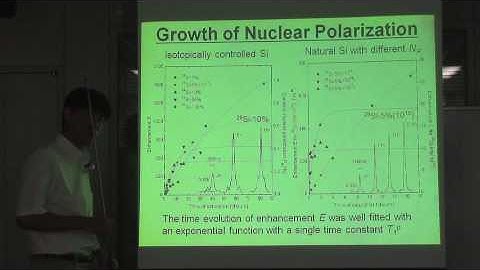 Dynamic Nuclear Polarization of Silicon 29