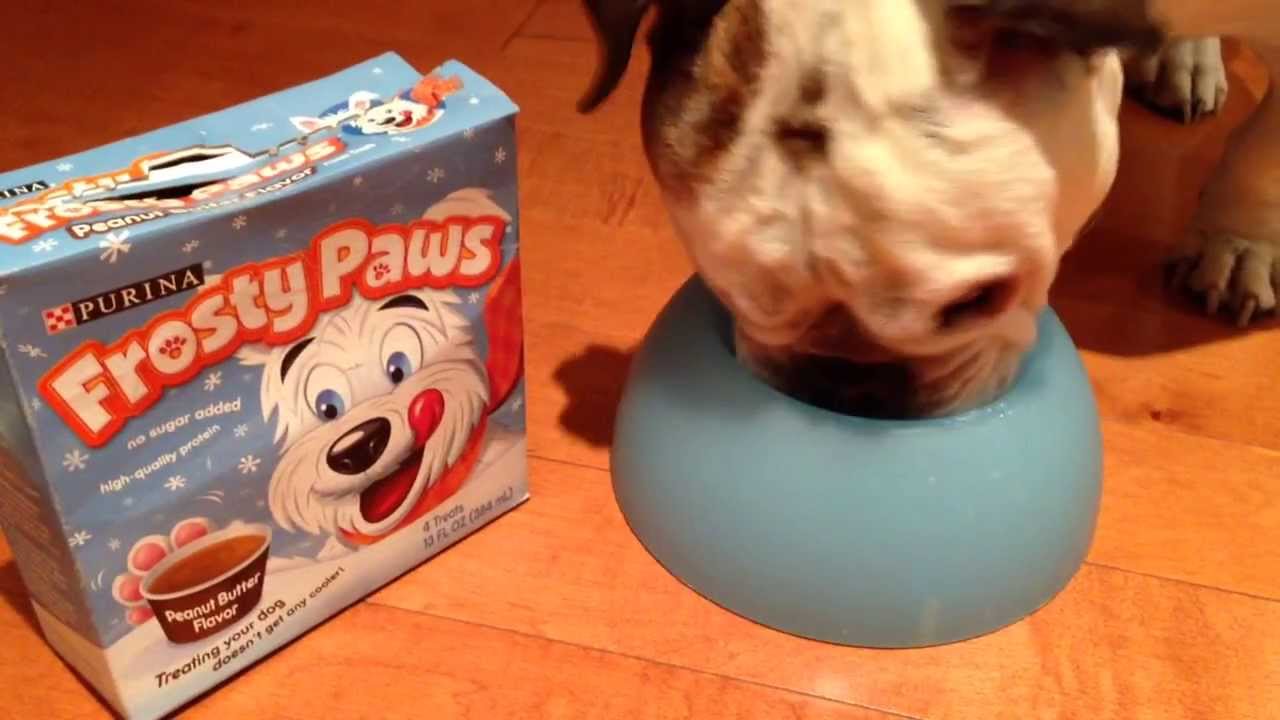 Frosty paws dog review, my virtual bulldog channel YouTube
