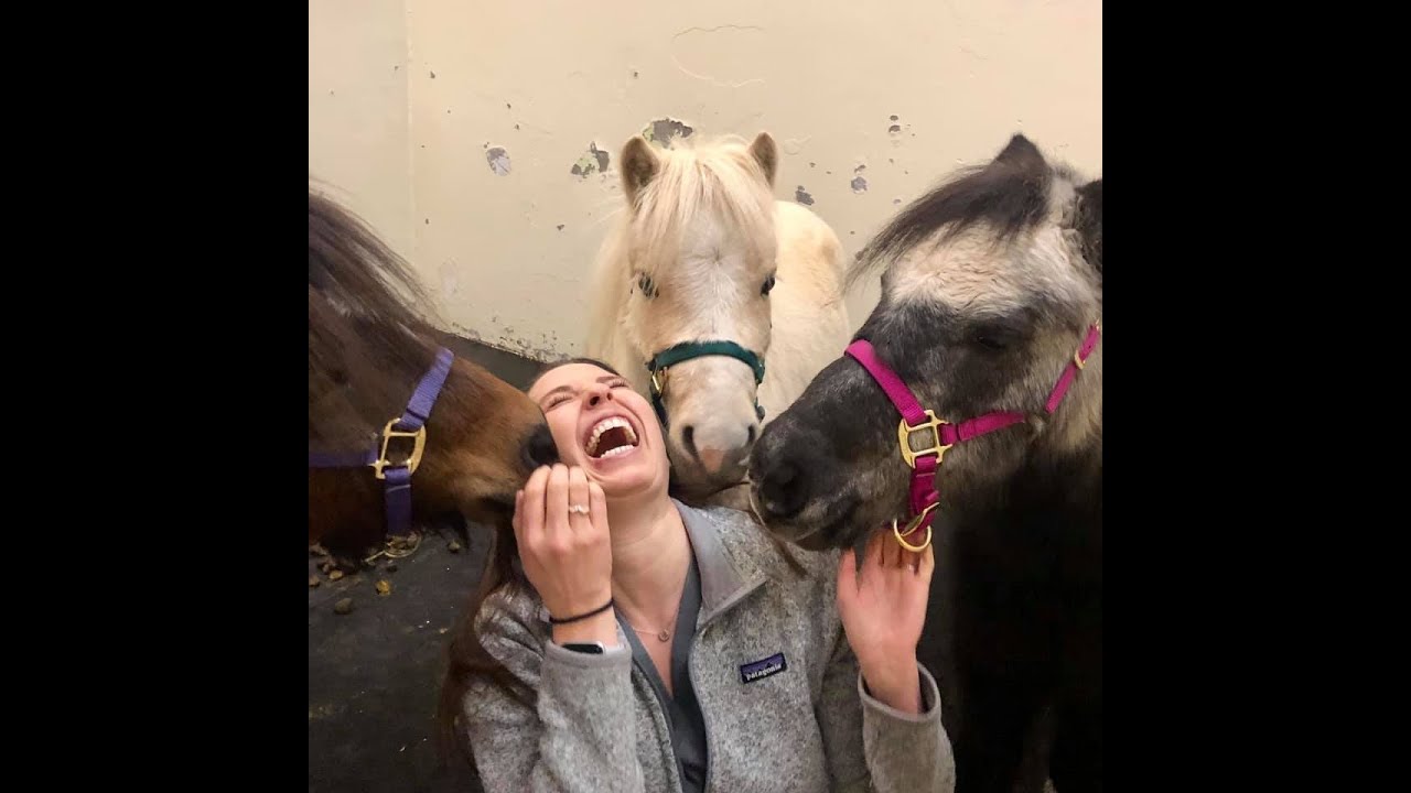 Omega Horse Rescue End of Year 2019 Video YouTube