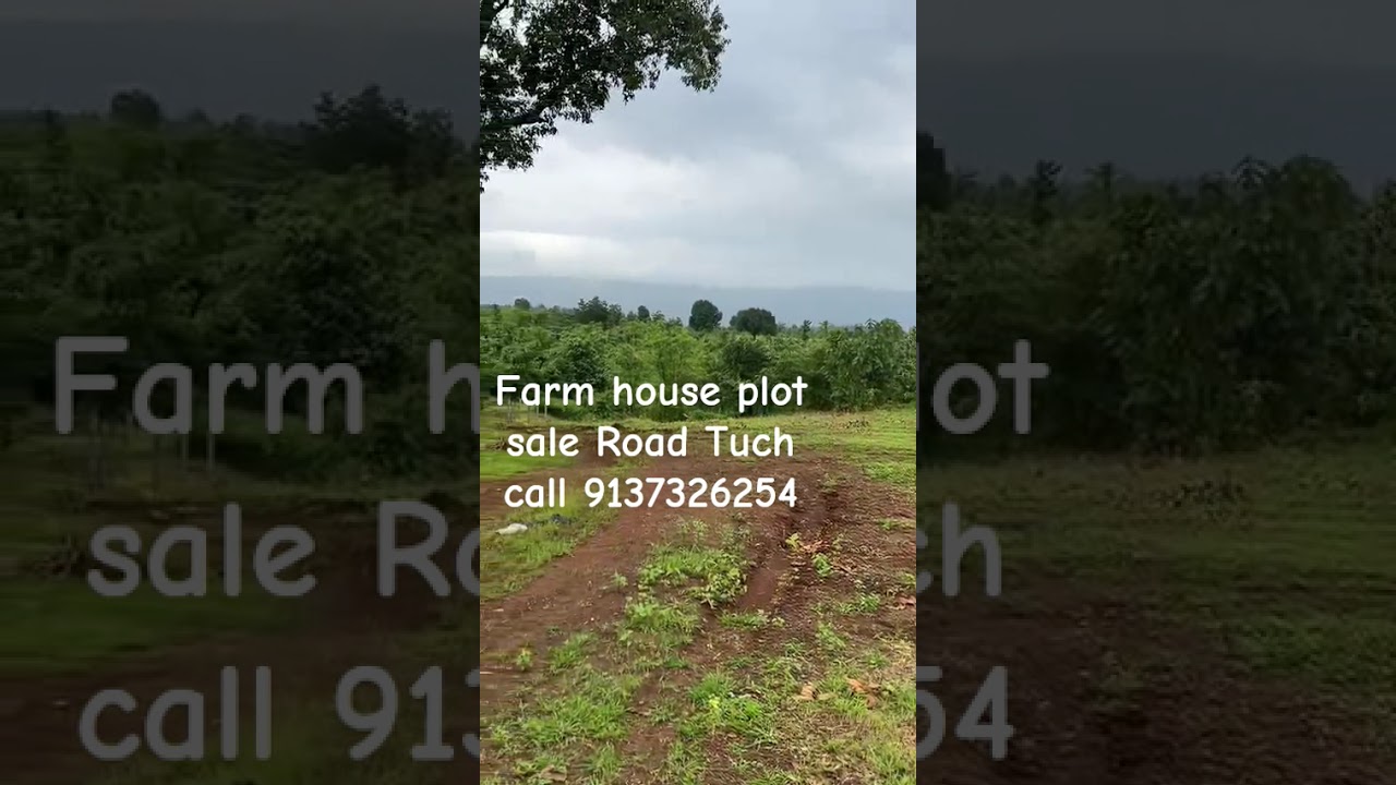 Clear Title, Ready Luxury Farm House Plot Ready Possession, 11000 sq.ft. & above call 9137326254