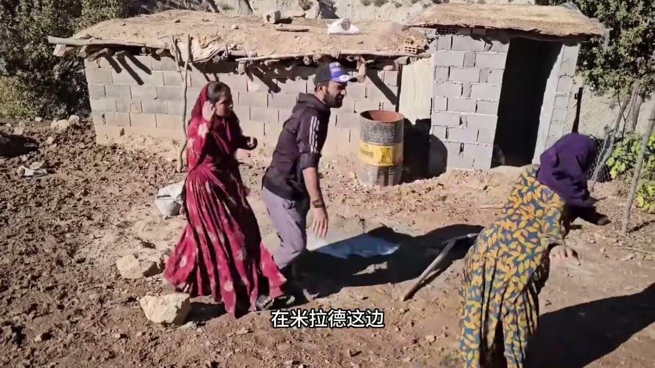 米拉德对阿丽玛丧失了所有的信心，阿丽玛一意孤行让米拉德和哈林那都特别的痛苦