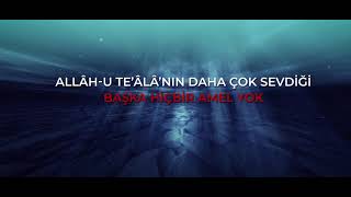 ALLÂH-U TE'ÂLÂ'NIN EN ÇOK SEVDİĞİ AMEL | CÜBBELİ AHMET HOCAEFENDİ Resimi