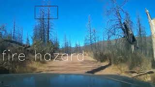 Celebrity Python fire path prediction Wealth