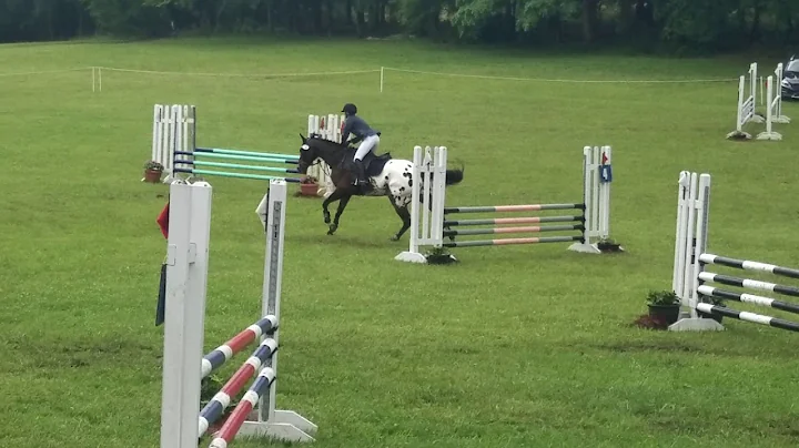 Holly Breaux and dan 5/2019