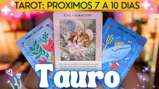 TAURO♉️Dos alianzas: De amor y profesional te llevan a un momento grandioso⚡️TAROT EXPRESS⚡️ #tauro