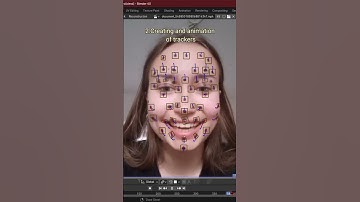 Face motion capture