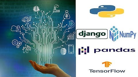 Python Programming: Overview of Top Libraries and Frameworks