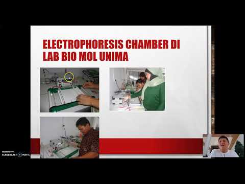 Video: Apakah elektrod positif dalam elektroforesis?