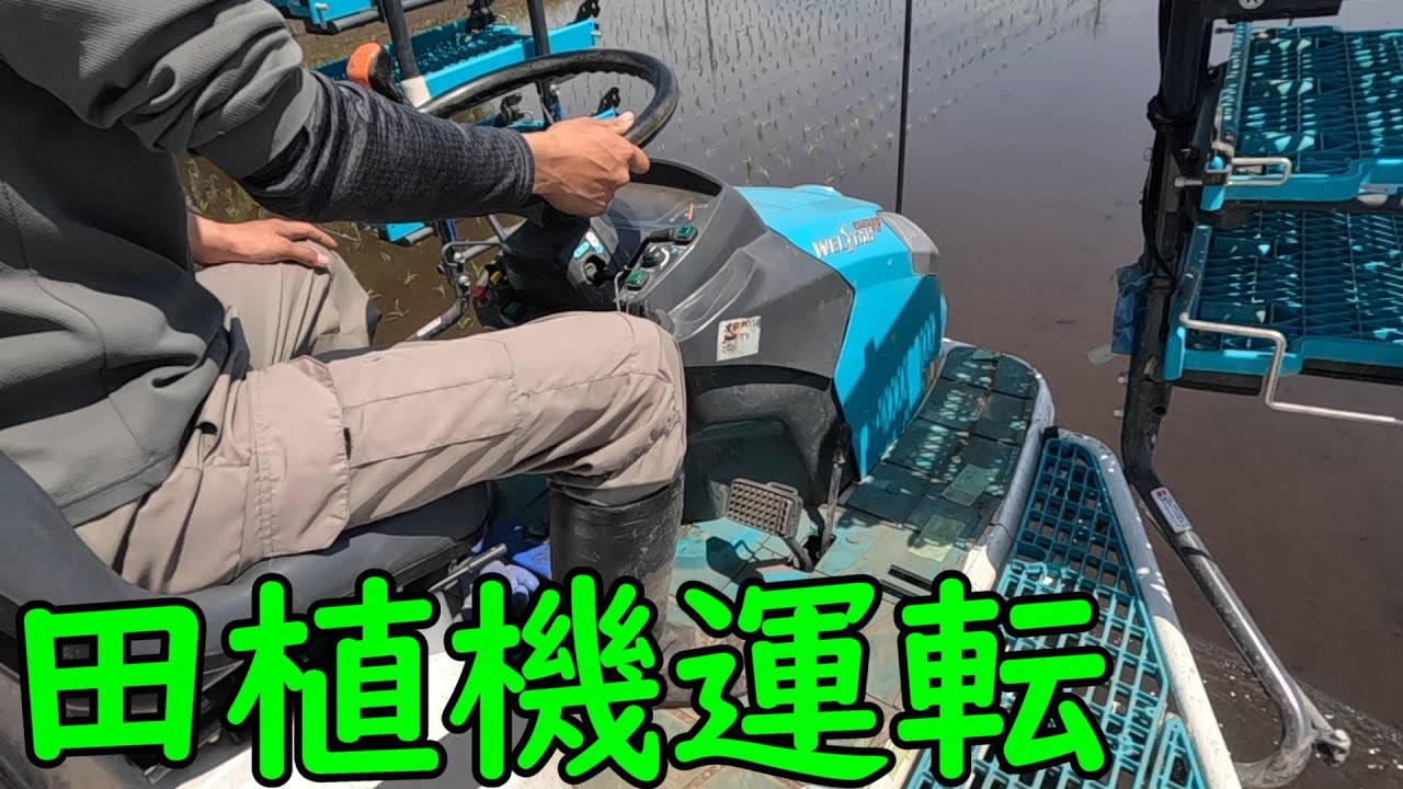2023】田植機運転。そろそろオレンジの田植機に乗りたい気分。だけど 