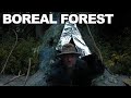 Survivorman | Season 1 | Episode 1 | Boreal Forest | Les Stroud