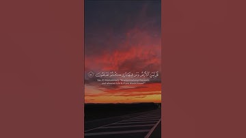 سورة المؤمنون الآية 84-8🌷. القارئ ياسر الدوسري⭐ . #ياسر_الدوسري #قرآن #قران_كريم #الحمدلله