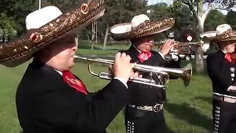 7 de julio de 2016