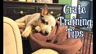 Crate Training Tips ~ Why It's Important & How It Can Help With Training Your Dog ~