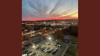 Florida Breeze At Night