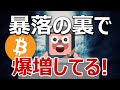 ビットコイン暴落の裏で信じられない爆増が続いている