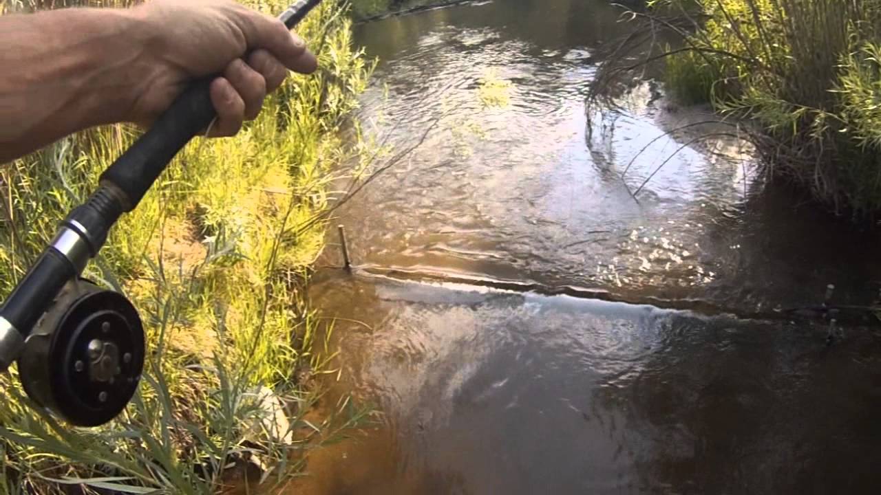 Bone Shack Jemez Team N M - YouTube