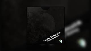 Hikmet Gülay - Martılar