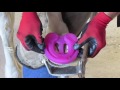 Kevin Williams demonstrates how to apply Ground Control Horseshoes