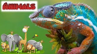 Animal Sounds - Reptiles | Animals for Kids | Learn Animals | Education screenshot 5