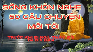 Sống Khôn Nghe 50 Câu Chuyện Mỗi Tối Trước Khi Đi Ngủ, Thay Đổi Cả Đời Bạn