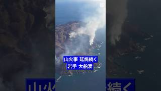 #山火事 、延焼続く　#岩手 ・ #大船渡市 #shorts #毎日新聞