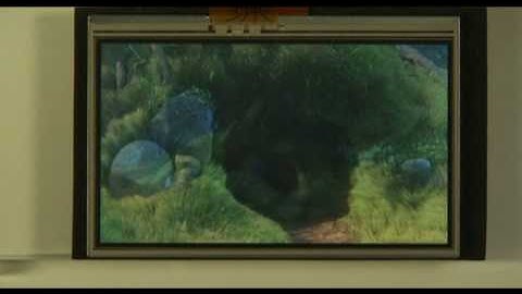 ZiiLABS HD Android Demonstration