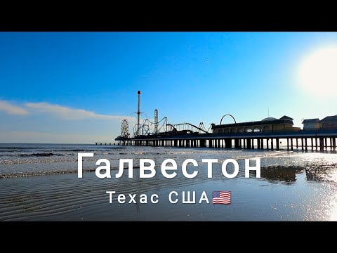 Video: 2020 Texas shtati yarmarkasi