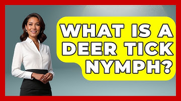 What Is A Deer Tick Nymph? - Exploring Campgrounds
