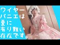 【ロリィタ】ワイヤーパニエの話。