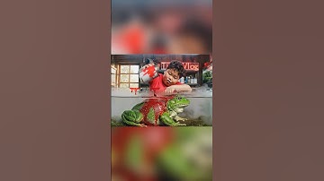 Capybara và cuộc thi đua ếch siêu cấp #capybara #funny #cartoon