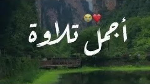 تلاوة صوت تقشعر لها الابدان بصوت الشيخ يوسف العيدروس