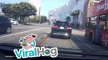 Distracted Driver Fails to Notice Brake Lights || ViralHog