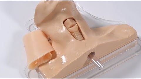 Cricothyrotomy Simulator by Nasco Healthcare