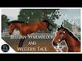Sso  spoiler  belgian warmblood animations and new western tack released