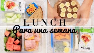 Ideas de Lunch para la escuela Karely