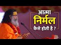 How is the soul serene? आत्मा निर्मल कैसे होती है ?  By Swami Dr. Ramkamal Das Vedanti Ji Maharaj