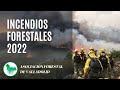 Incendios Forestales 2022 - ASFOVA