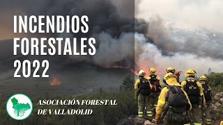 Incendios Forestales 2022 - ASFOVA