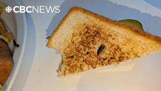Saskatoon restaurant temporarily closed after woman finds cockroach on sandwich