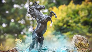 Photo Editing process | Model horse photography