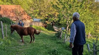 ZA SIJELO NISU BILE PREPREKE NI UMOR NI VELIKI SNIJEG (Priča o nekadašnjem životu na selu) III DIO