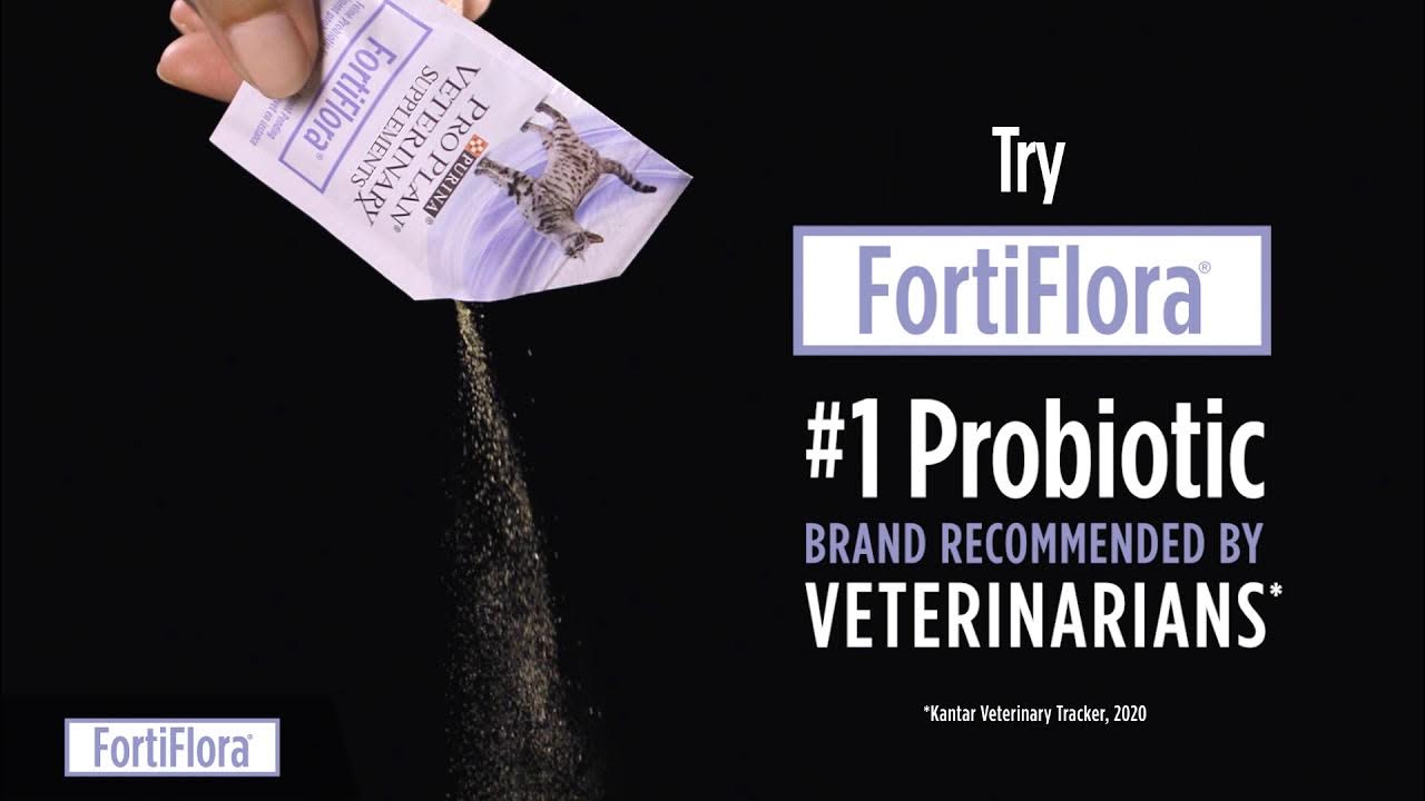 Try FortiFlora for Cats and Dogs with Diarrhea YouTube