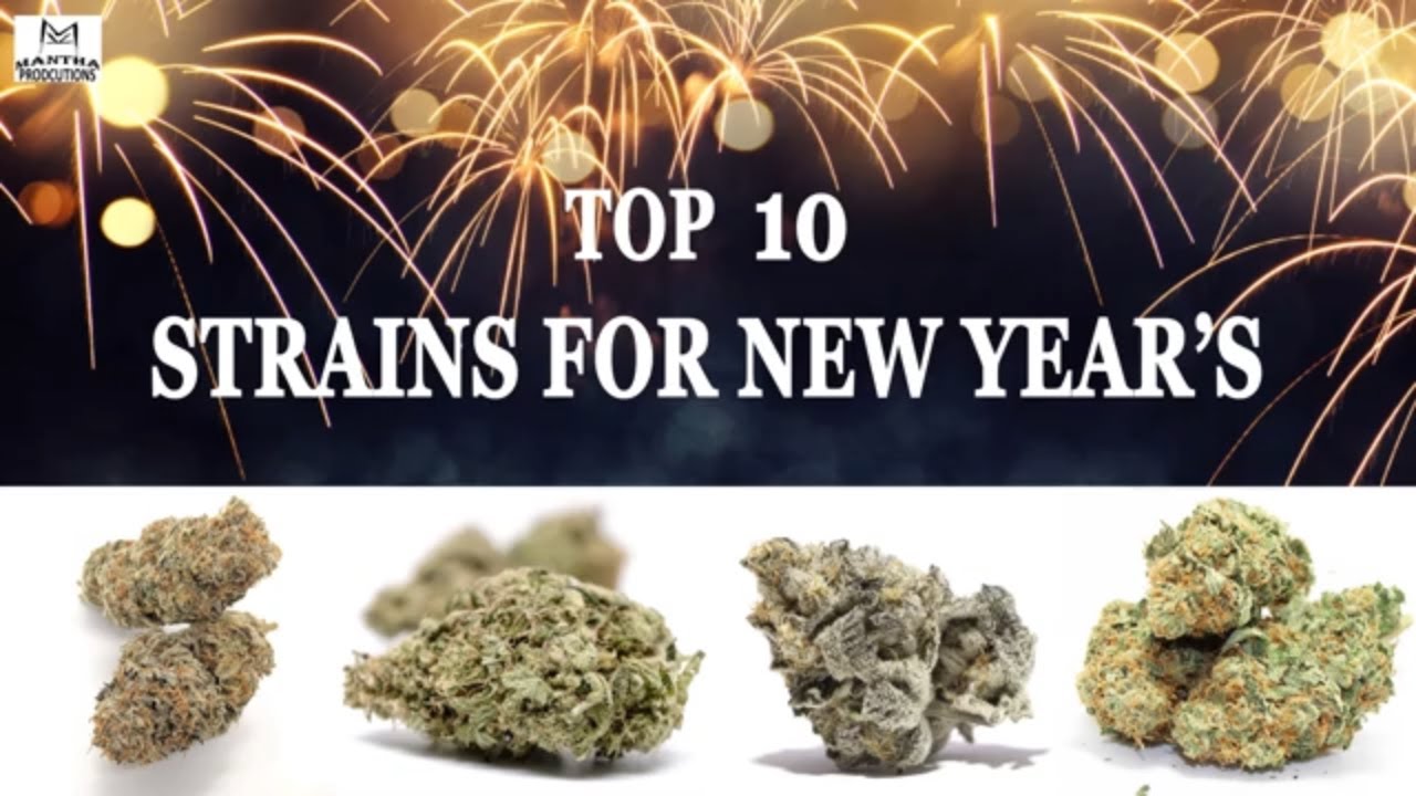 Top 10 Strains for New Year's