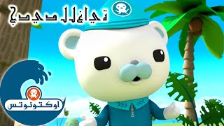 أوكتونوتس | أزمة جوز الهند | السلسلة 4 | الحلقة 27 screenshot 5