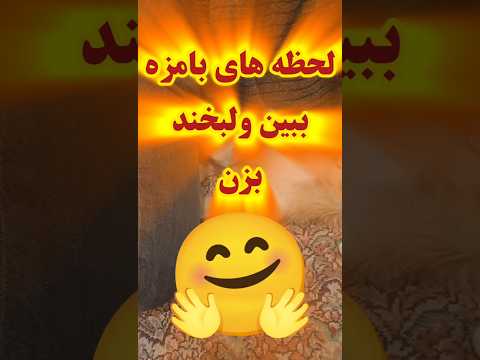 این صحنه ها نمی ذارن اخم کنی   خندارترین