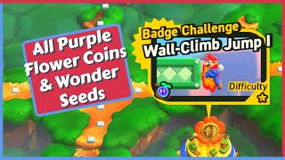 Wall Climb Jump 1 - All Purple Flower Coins & Wonder Seeds + Flagpole in Super Mario Bros. Wonder