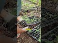 Ketika Tanah Sederhana Menumbuhkan Rasa Bahagia