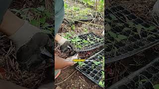 Ketika Tanah Sederhana Menumbuhkan Rasa Bahagia